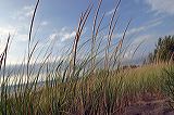 img_6090
