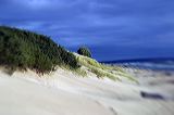 img_6115