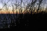 img_6221