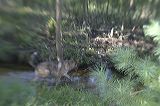 img_6940